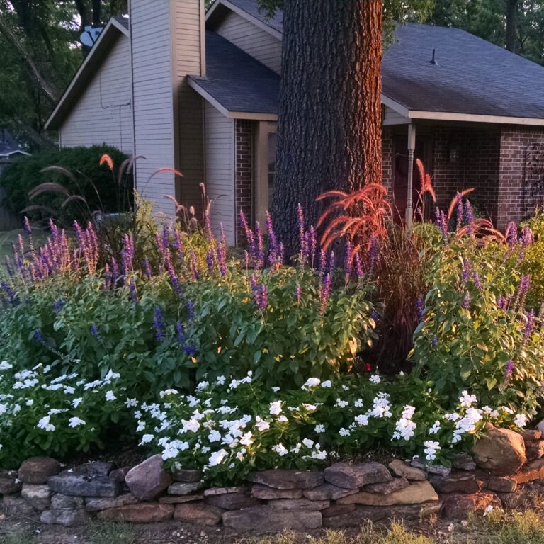 Why I Love Mystic Spires Salvia Good Earth Garden Center
