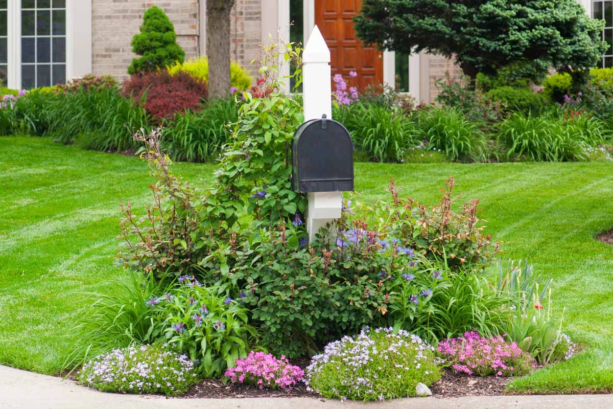Why The Mailbox Is A Great Place For A Garden