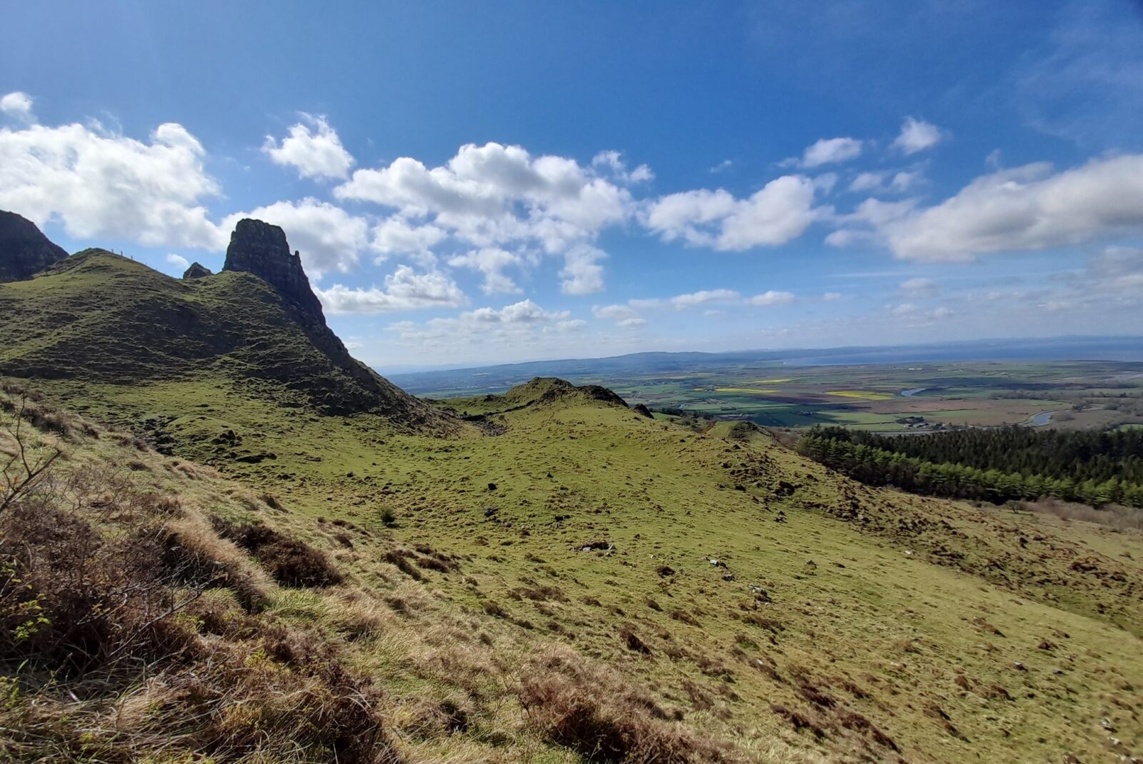 Wildflower Walk At Binevenagh National Nature Reserve Binevenagh Area Of Outstanding Natural Beauty