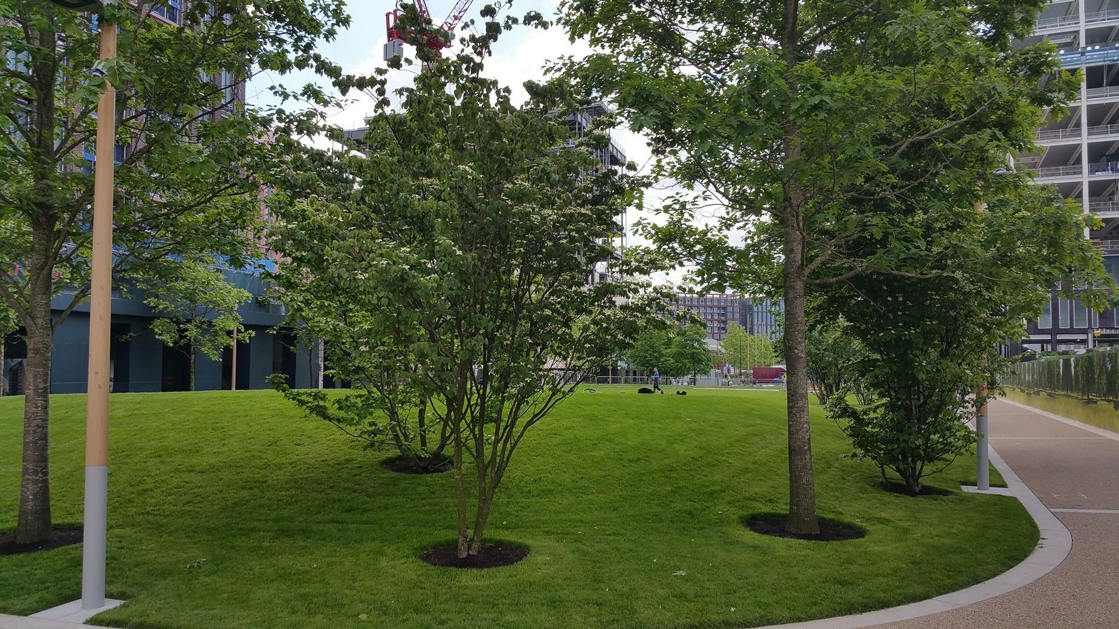 Willerby Landscapes Limited Kings Cross Regeneration Deepdale Trees Case Study