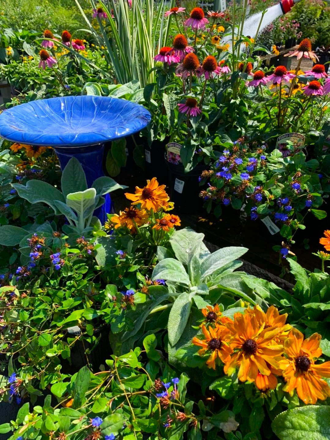 Willow Ridge Garden Center Landscaping Ponds Knoxville