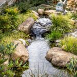 Willow Ridge Garden Center Landscaping Ponds Knoxville