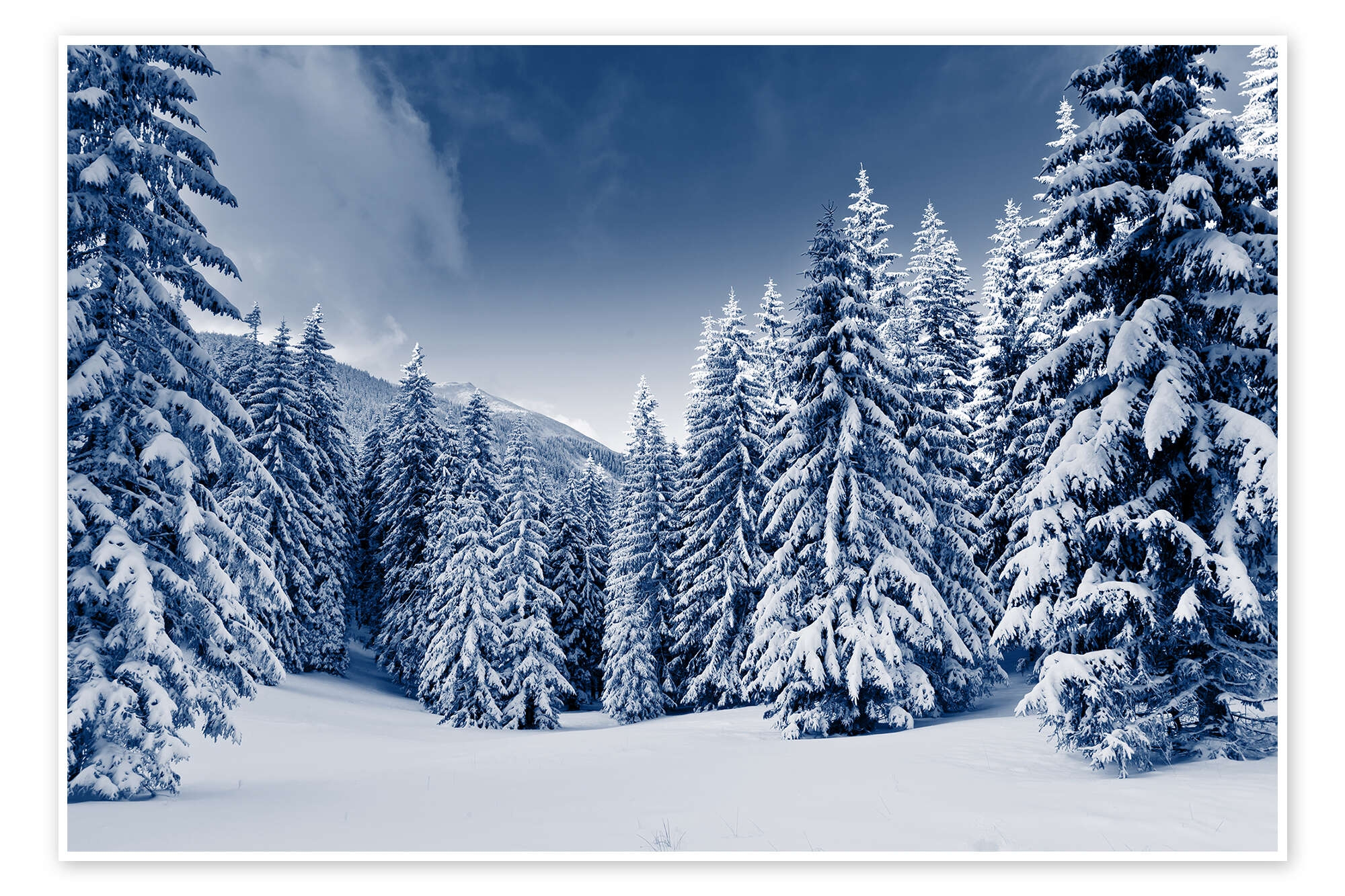Winter Landscape With Snow Covered Trees Print By Editors Choice Posterlounge