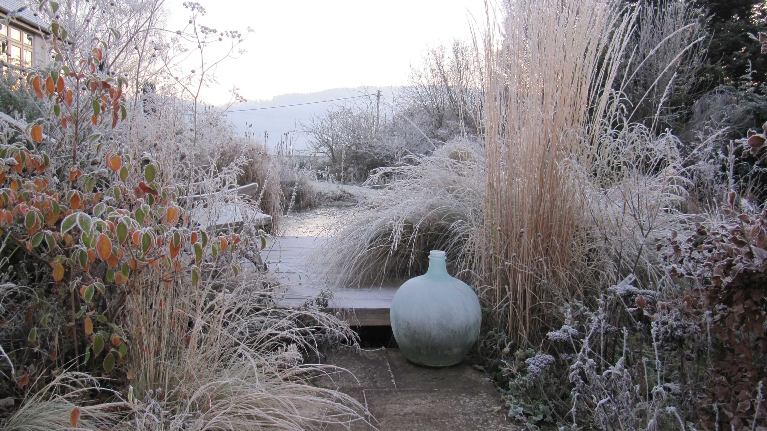 Winter Landscaping Ideas 10 Enchanting Looks For The Coldest Months Of The Year Gardeningetc Winter Landscaping Ideas 10 Enchanting Looks For The Coldest Months Of The Year Gardeningetc
