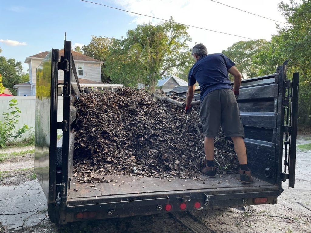 Yard Debris Removal Junk Removal 813