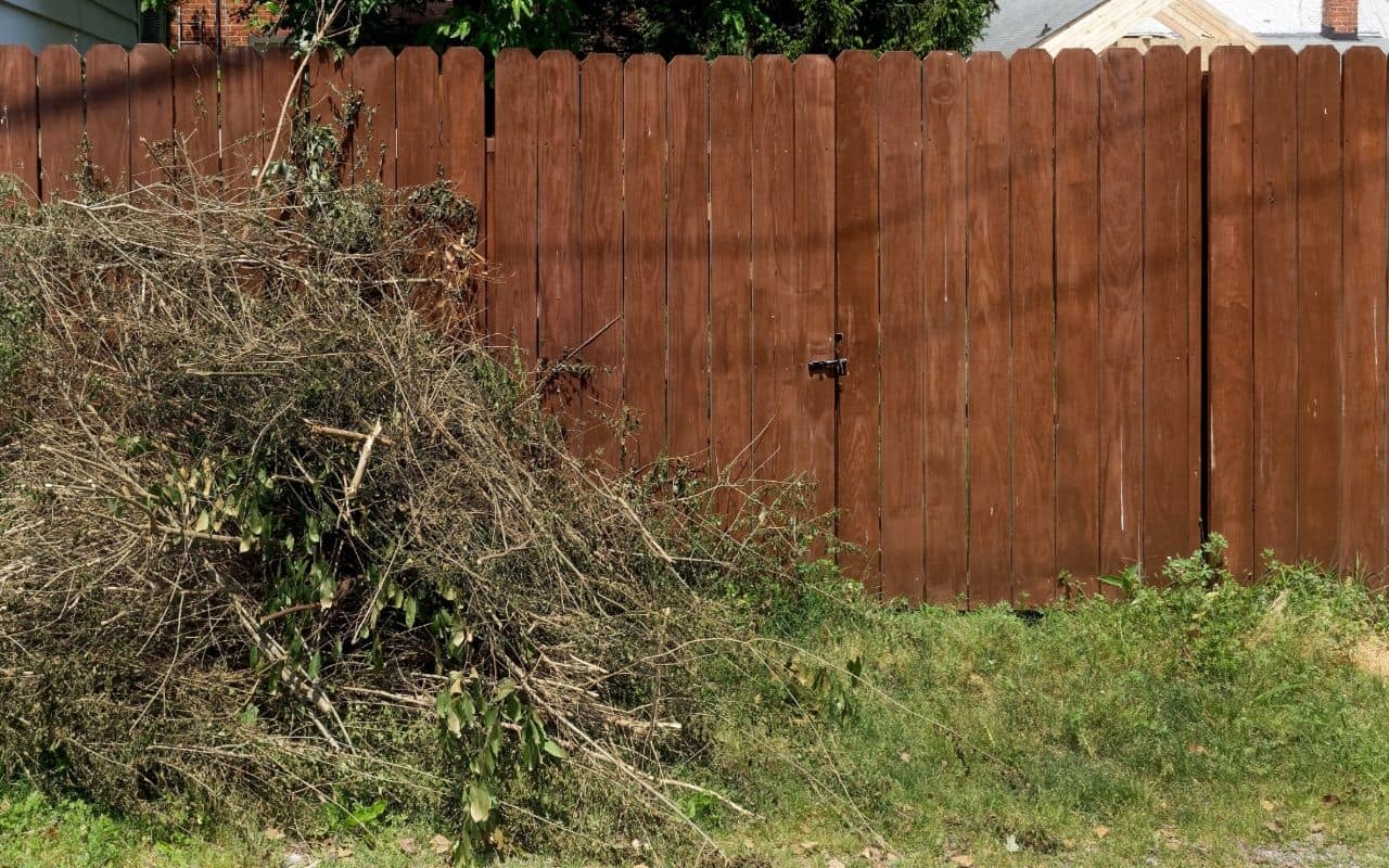 landscape debris removal