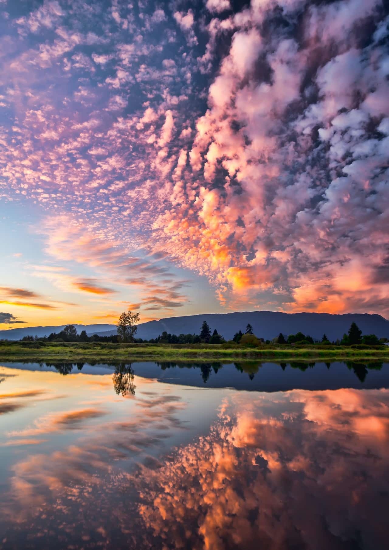 what is landscape photography