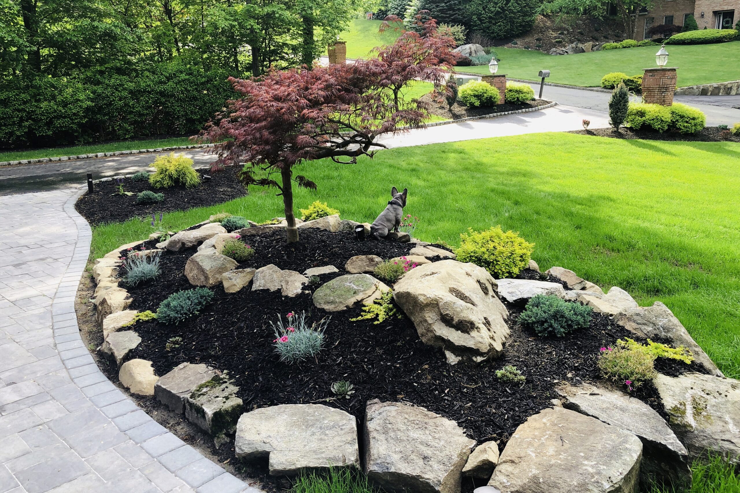landscape of plants