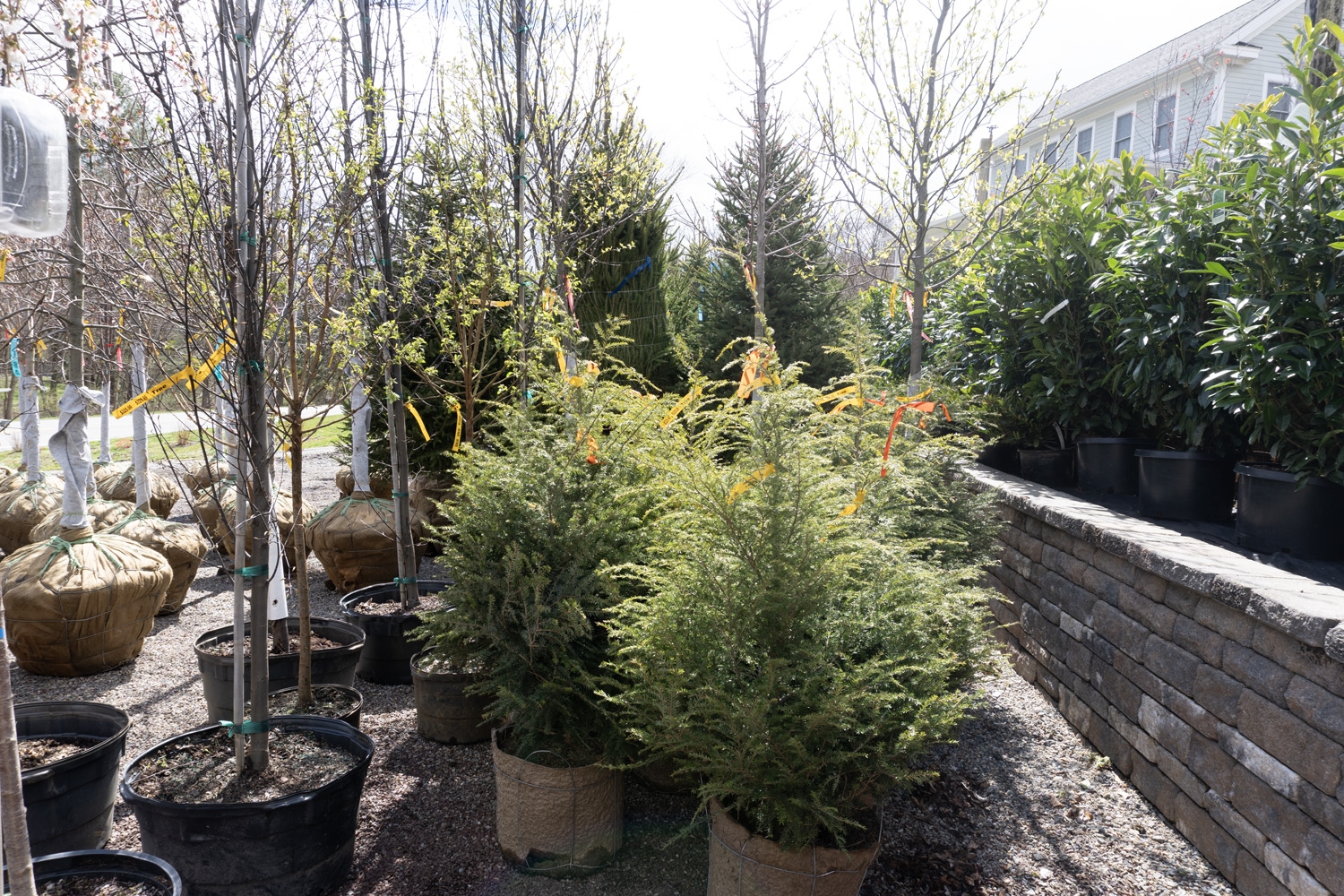 Zadlock Garden Landscape Supply In Califon NJ